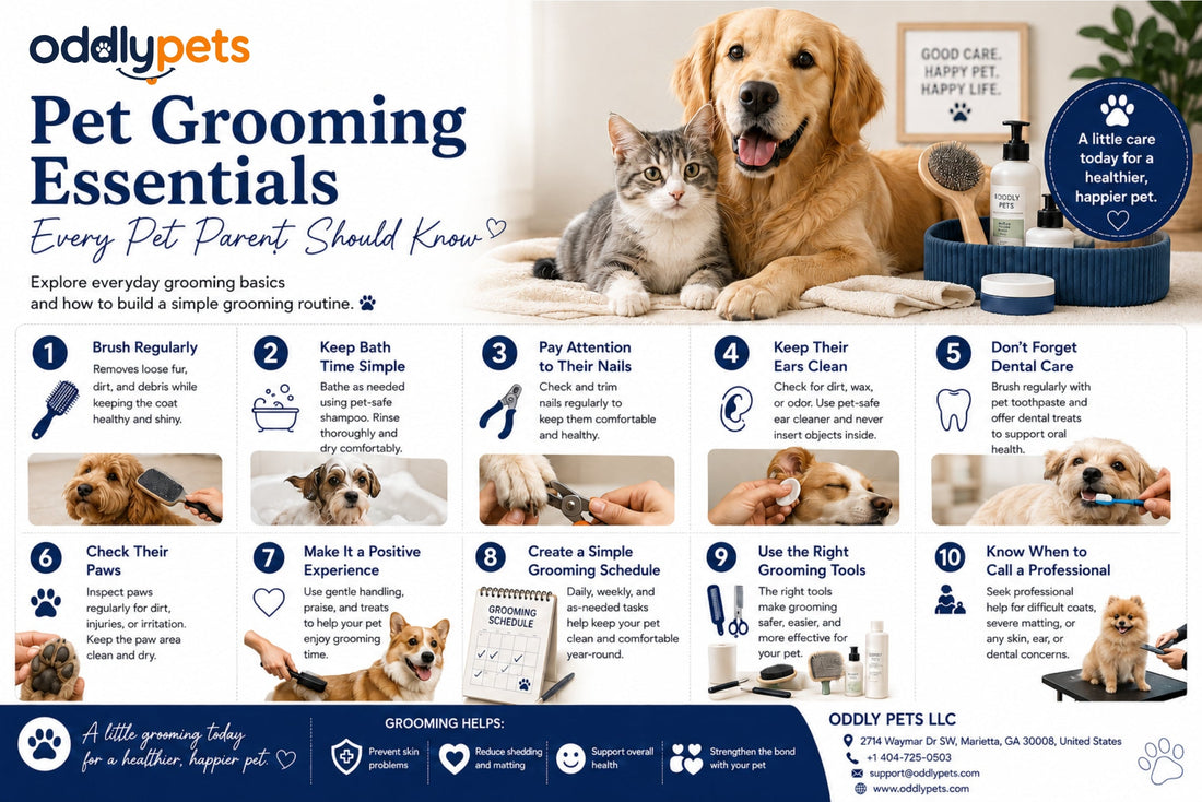 Pet Grooming