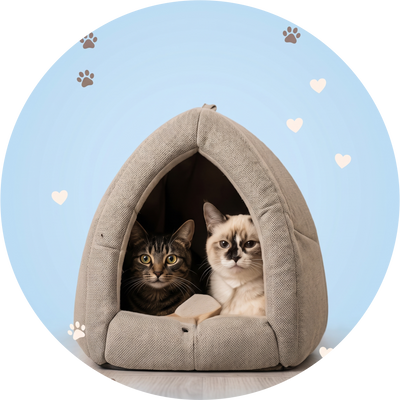 Home & Bedding