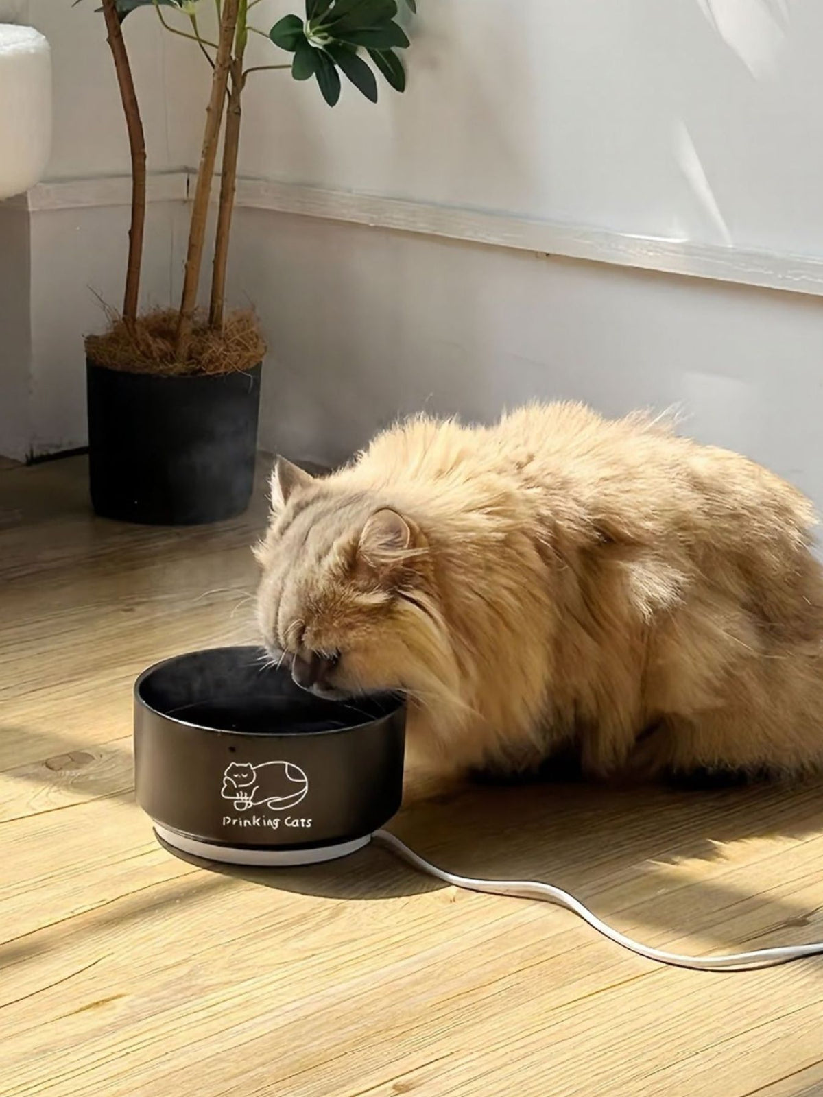 01d35f43-87e2-4a69-8402-52fe7c69681c-Max Pet Bowl