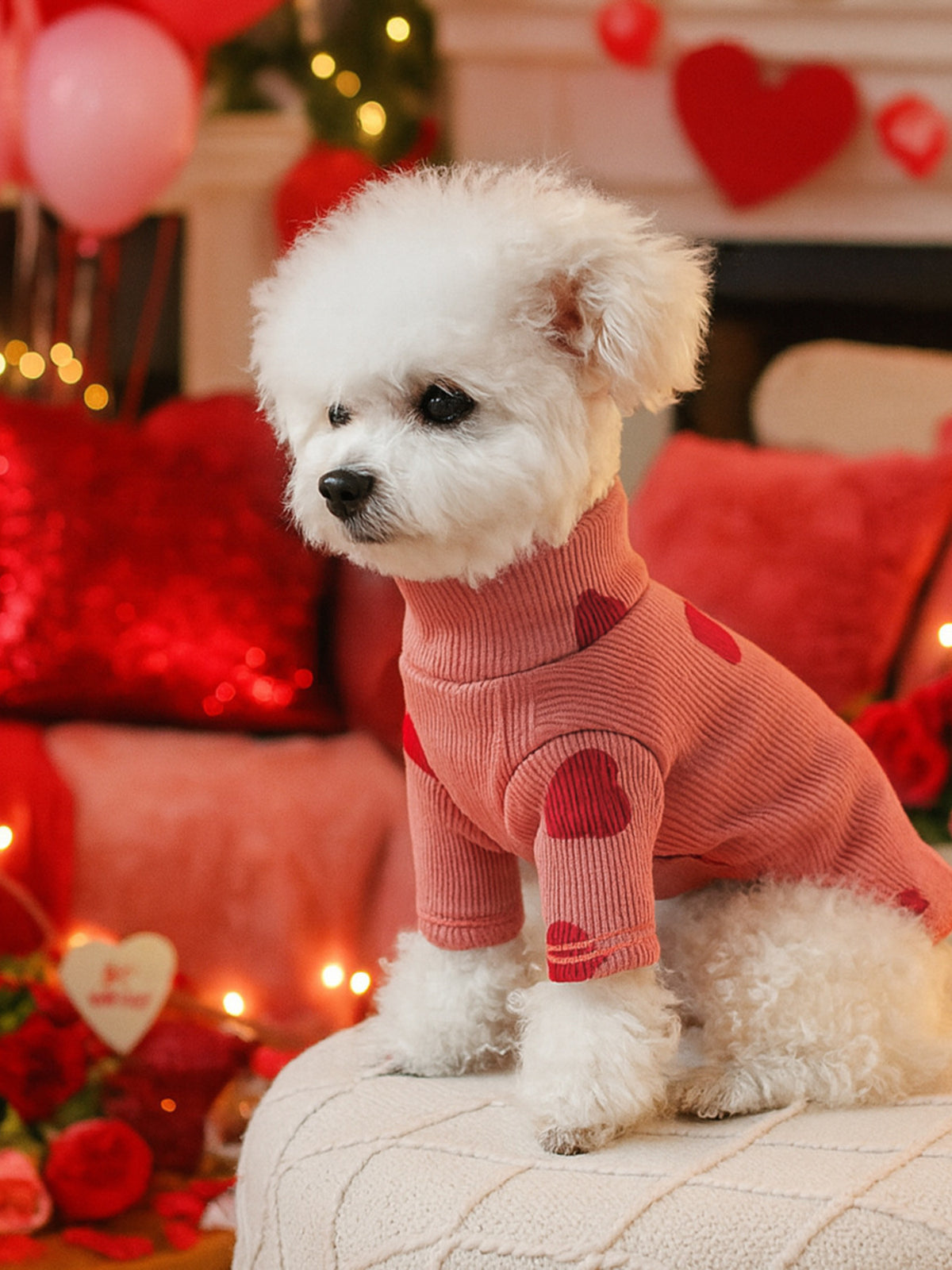 051e2dbfd4d74984aa254b30095b341b-Max Pet Sweater