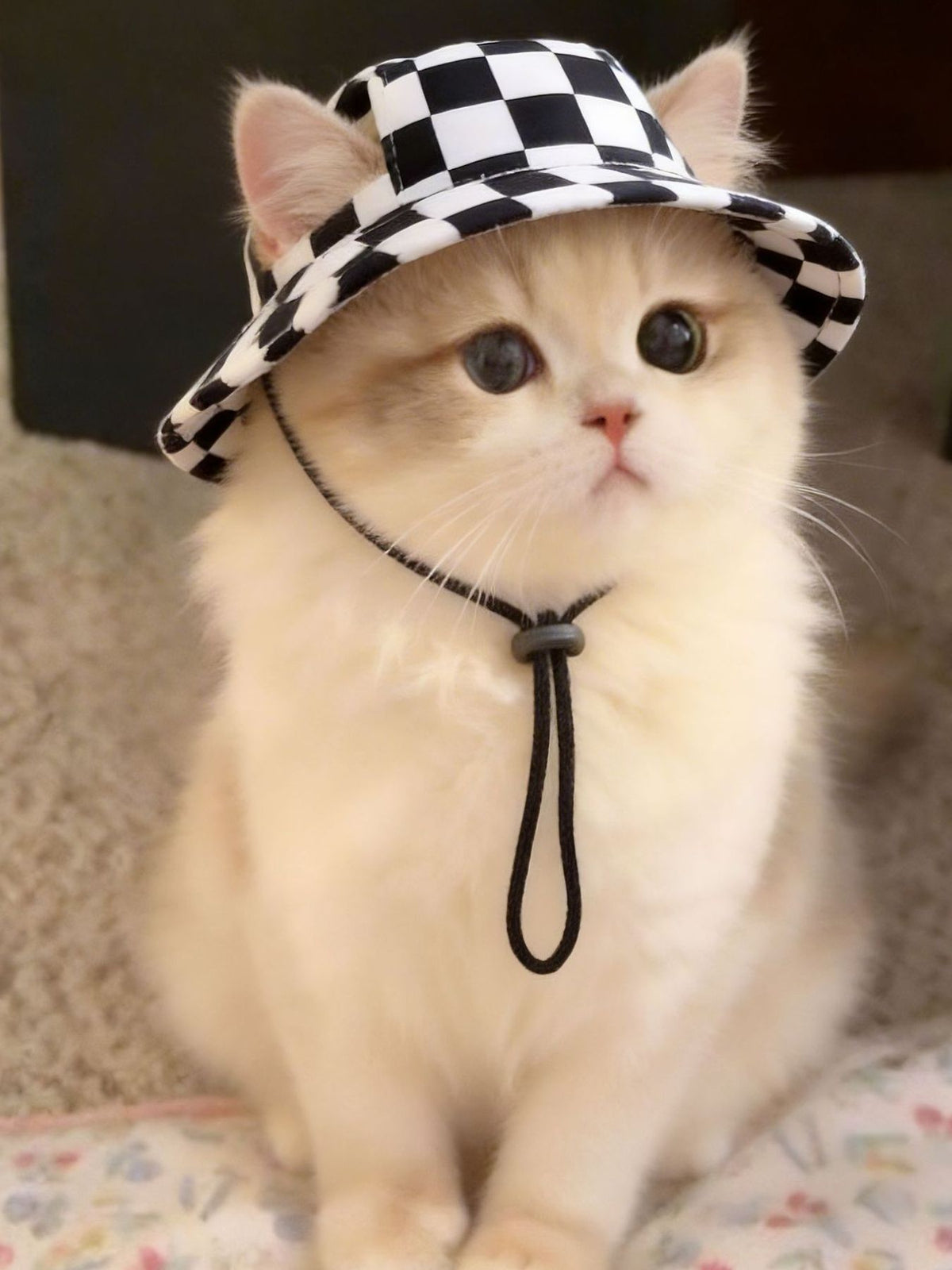 0a28cd9c-6425-496d-a844-020457697c3b-Max Pet Bucket Hat 