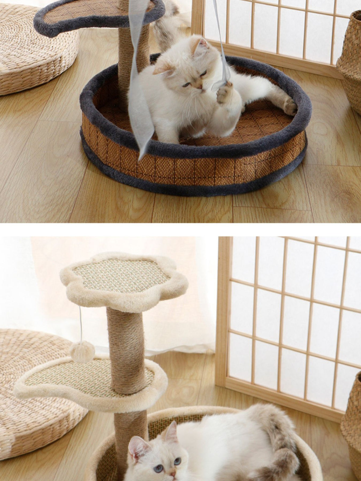 0f793788-41b6-48b5-bb1e-891d7ef8a612-Max Cat Scratching