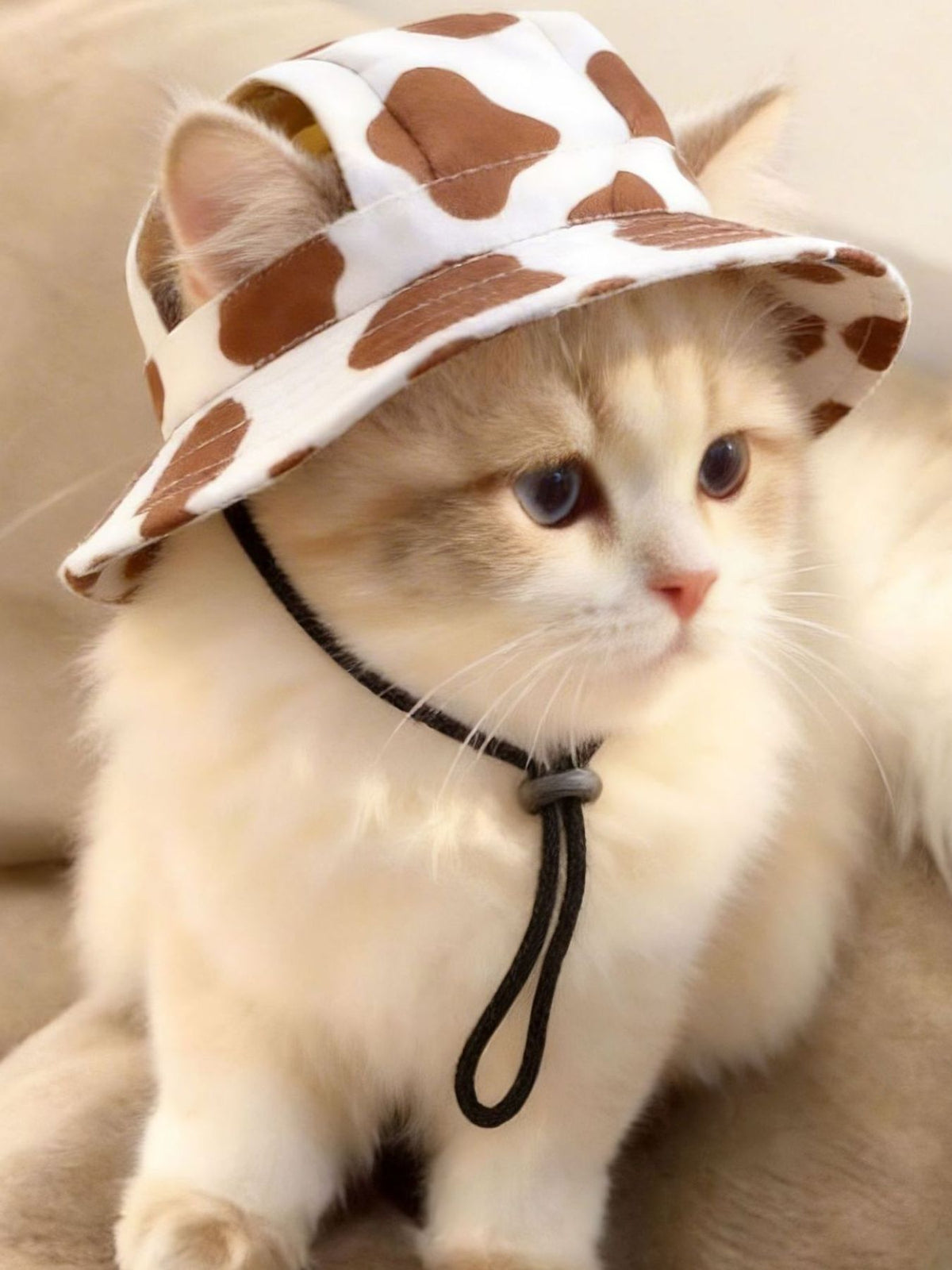 17687493-7dac-41cd-b168-45291b3f5f34-Max Pet Bucket Hat 