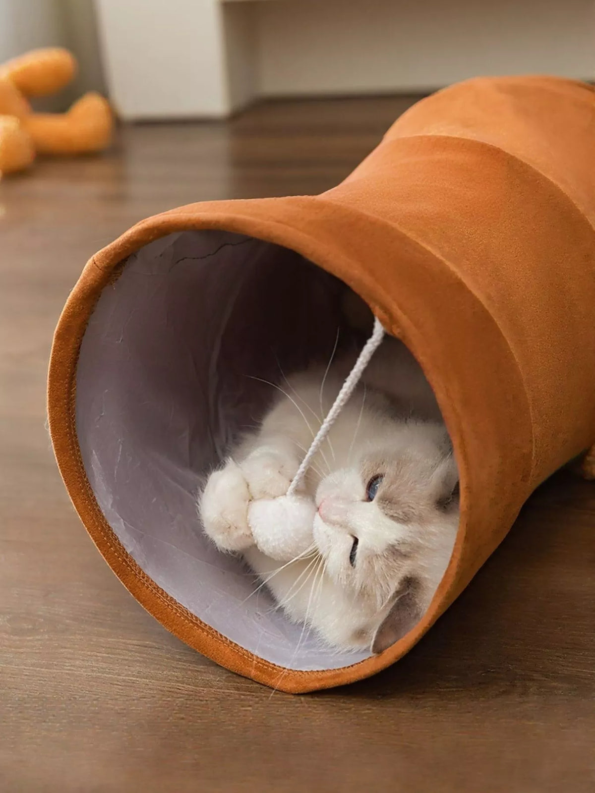 1e38e60f-7b3a-49ee-8342-667e7945e8c6-Max-Origin Foldable Cat Tunnel Toy