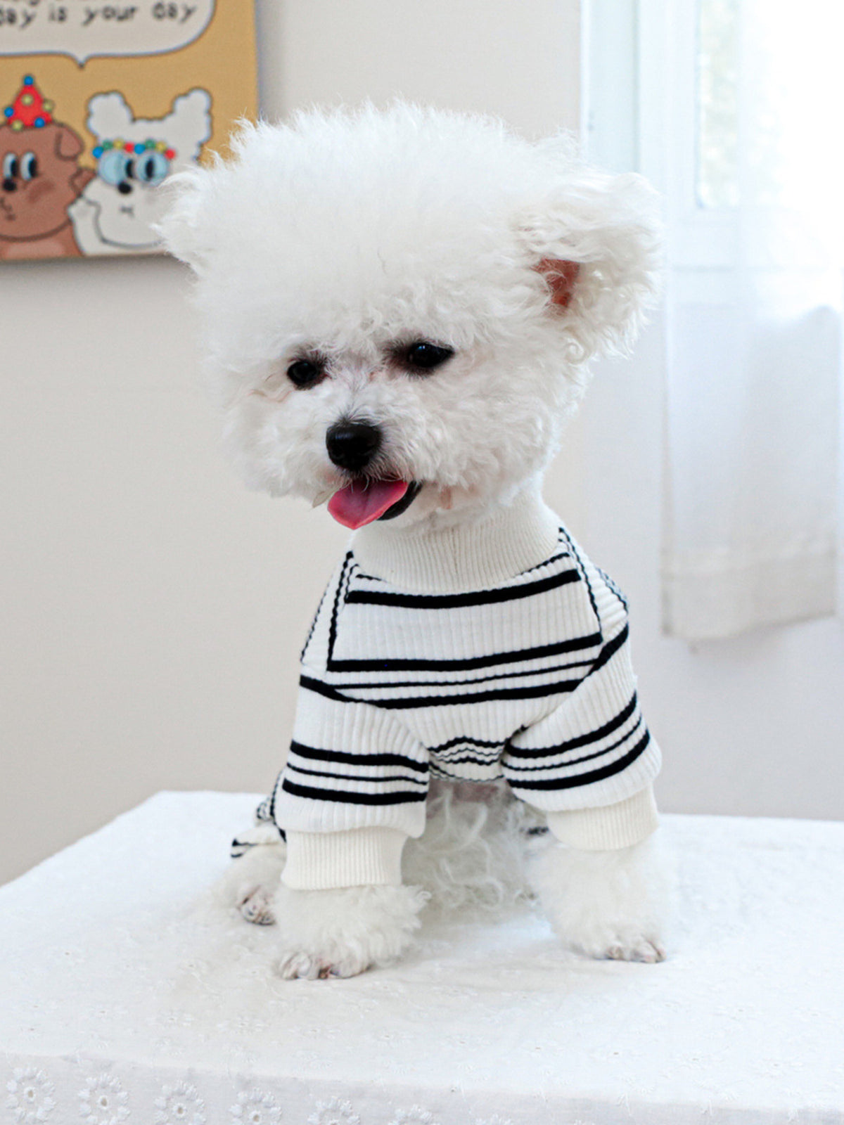 250d77dbab9f40c7a439ba0fafdfaca5-Max Pet Jumpsuits