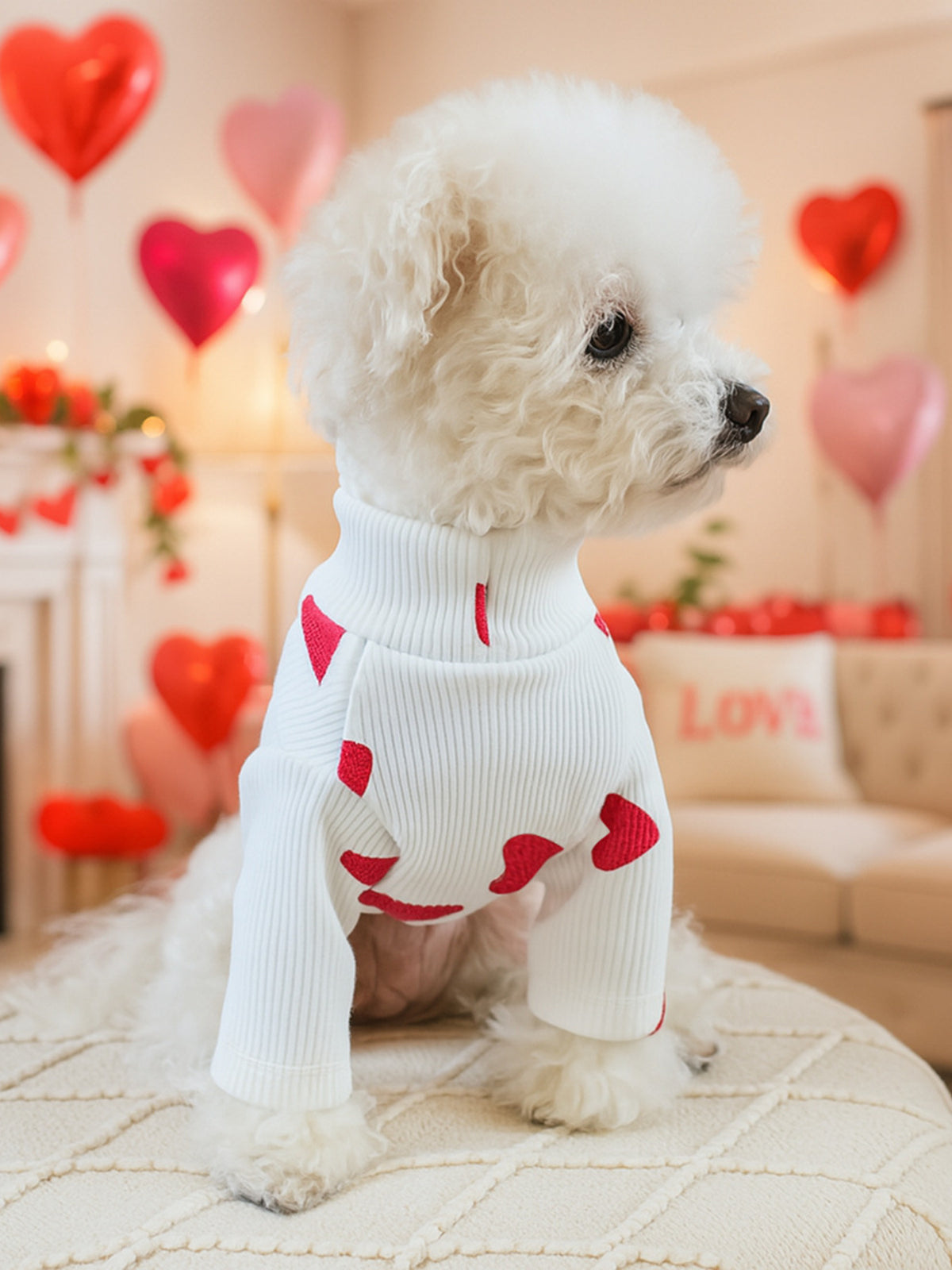 28b7233f022341e1bba0cb3dc9676493-Max Pet Sweater