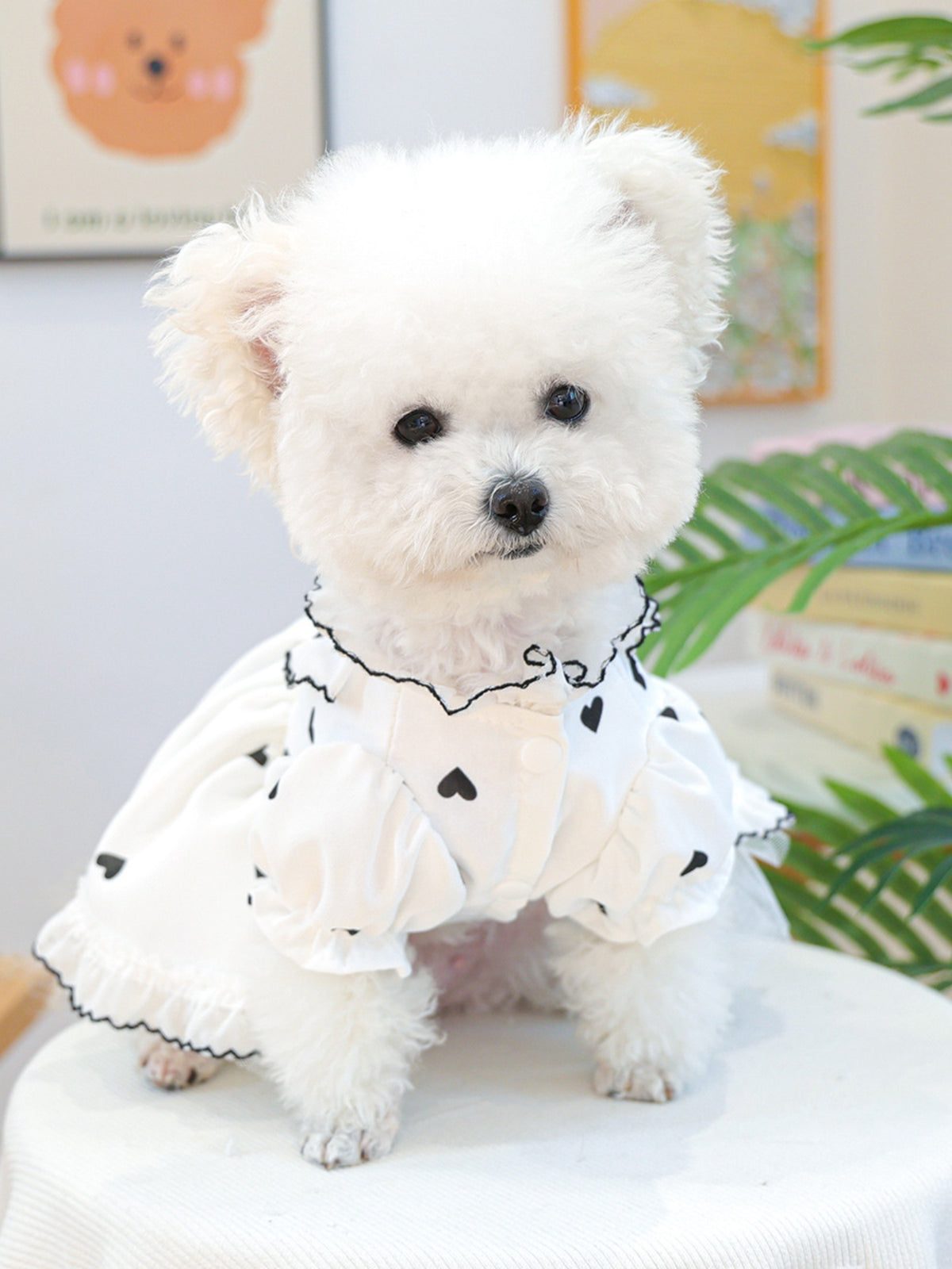 334570dc-eb48-4f27-82fb-2e6bb24de9f2-Max Pet Dress 