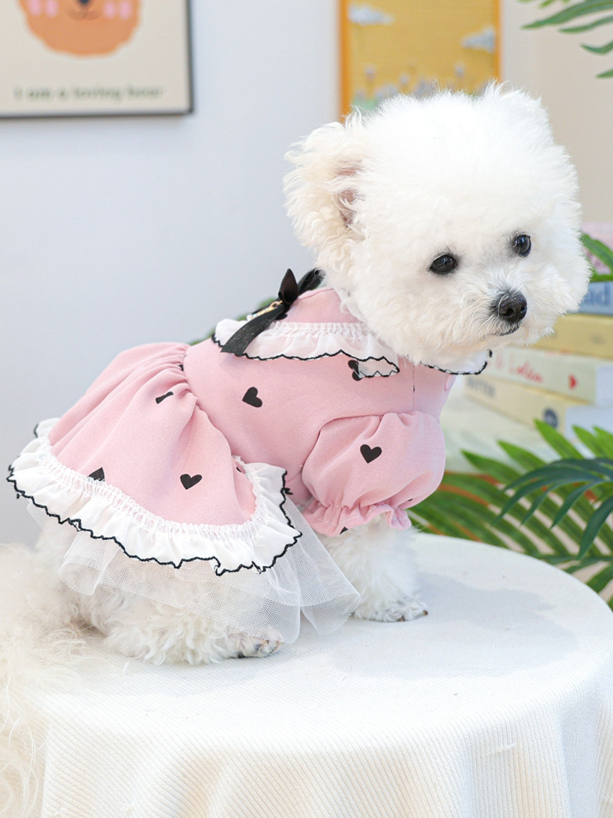 3e0bc185-2d86-46bb-a323-355ec1fb902f-Max Pet Dress 