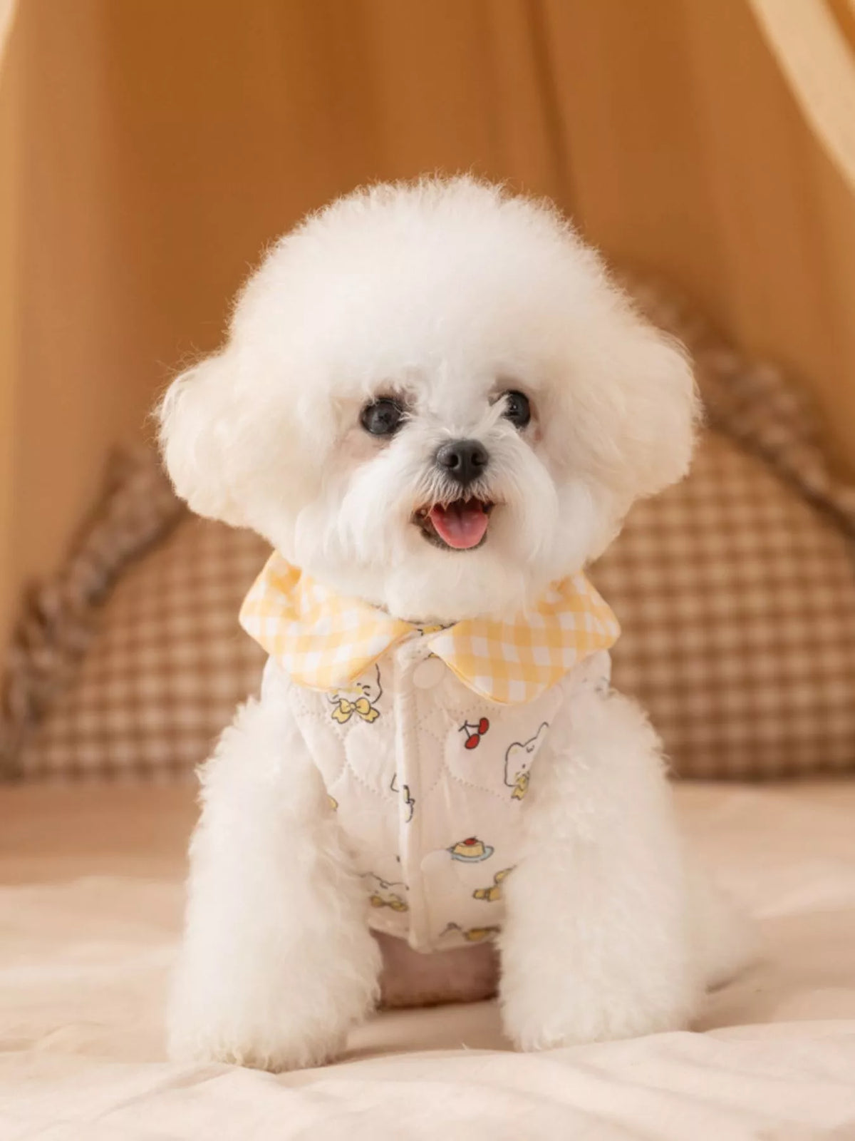 430d1aa8-96d6-4563-8631-4f719d82d2f9-Max-Origin Pet Jacket with Gingham Collar