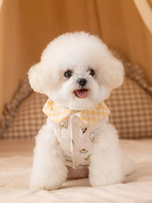 430d1aa8-96d6-4563-8631-4f719d82d2f9-Max-Origin Pet Jacket with Gingham Collar