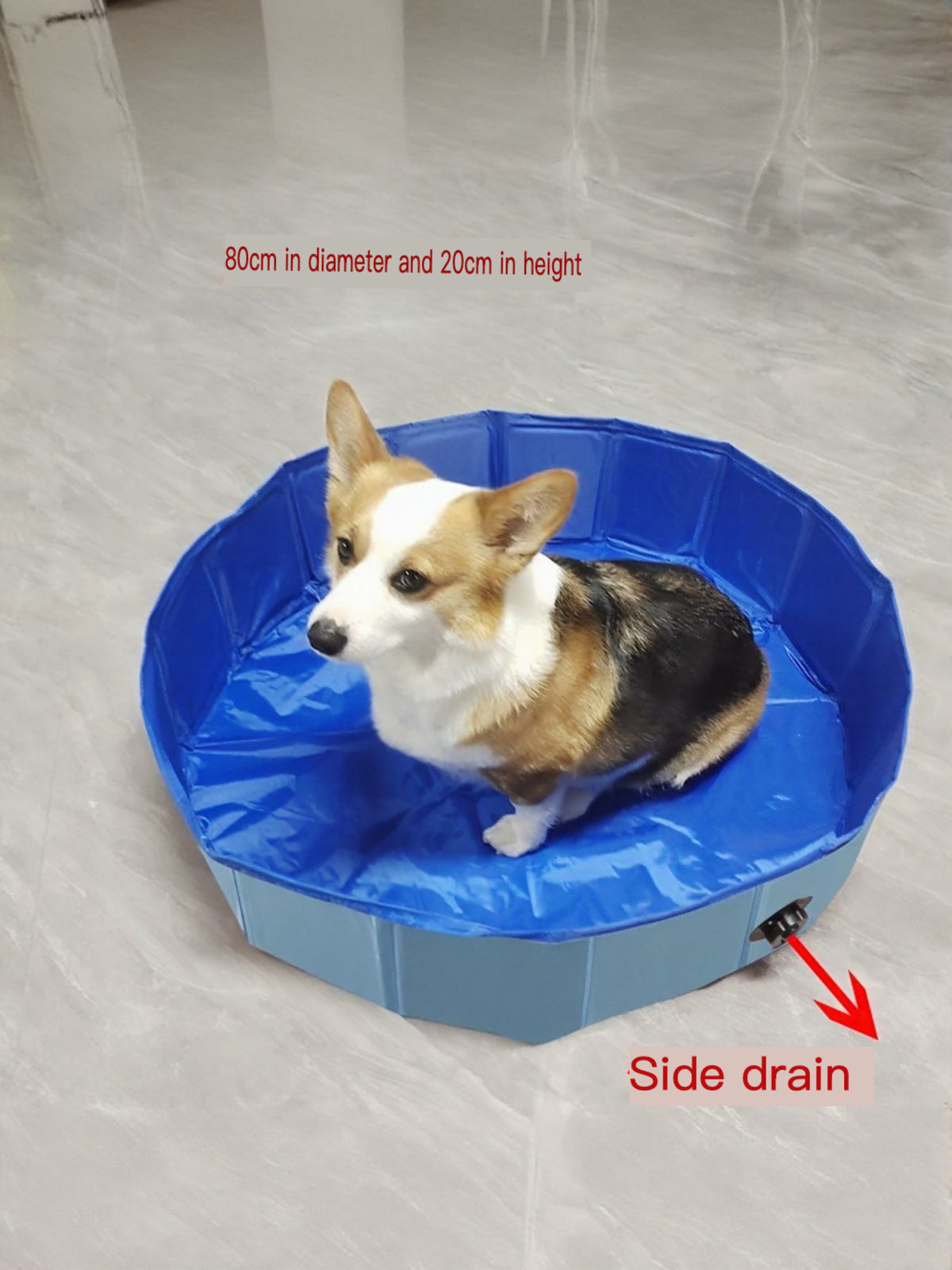 4747c3714f264d1fa5764279cadecd0e-Max Foldable Pet