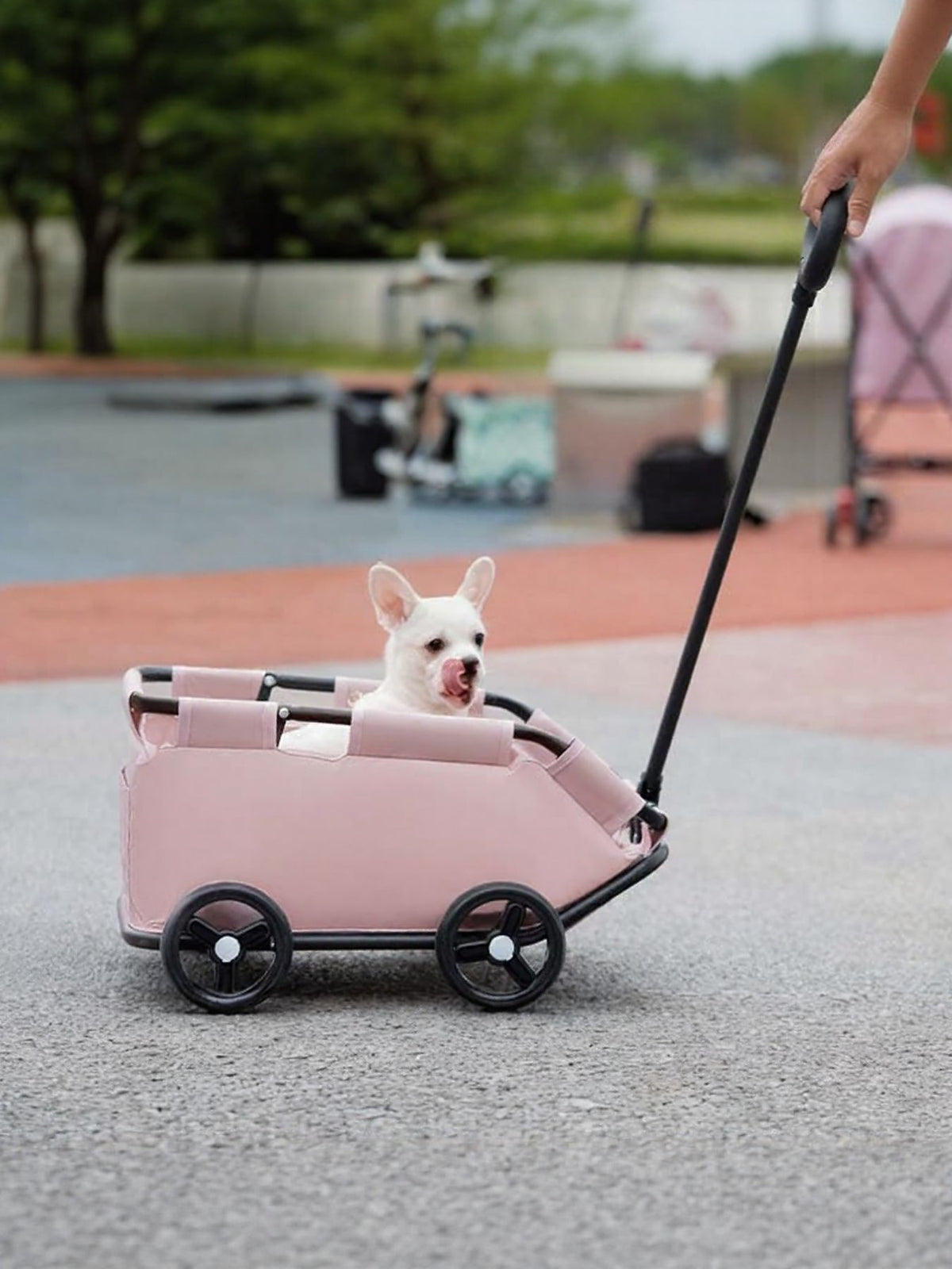 4a117917-8473-4509-9aa1-d02ec5ff0e08-Max Portable Folding Pet