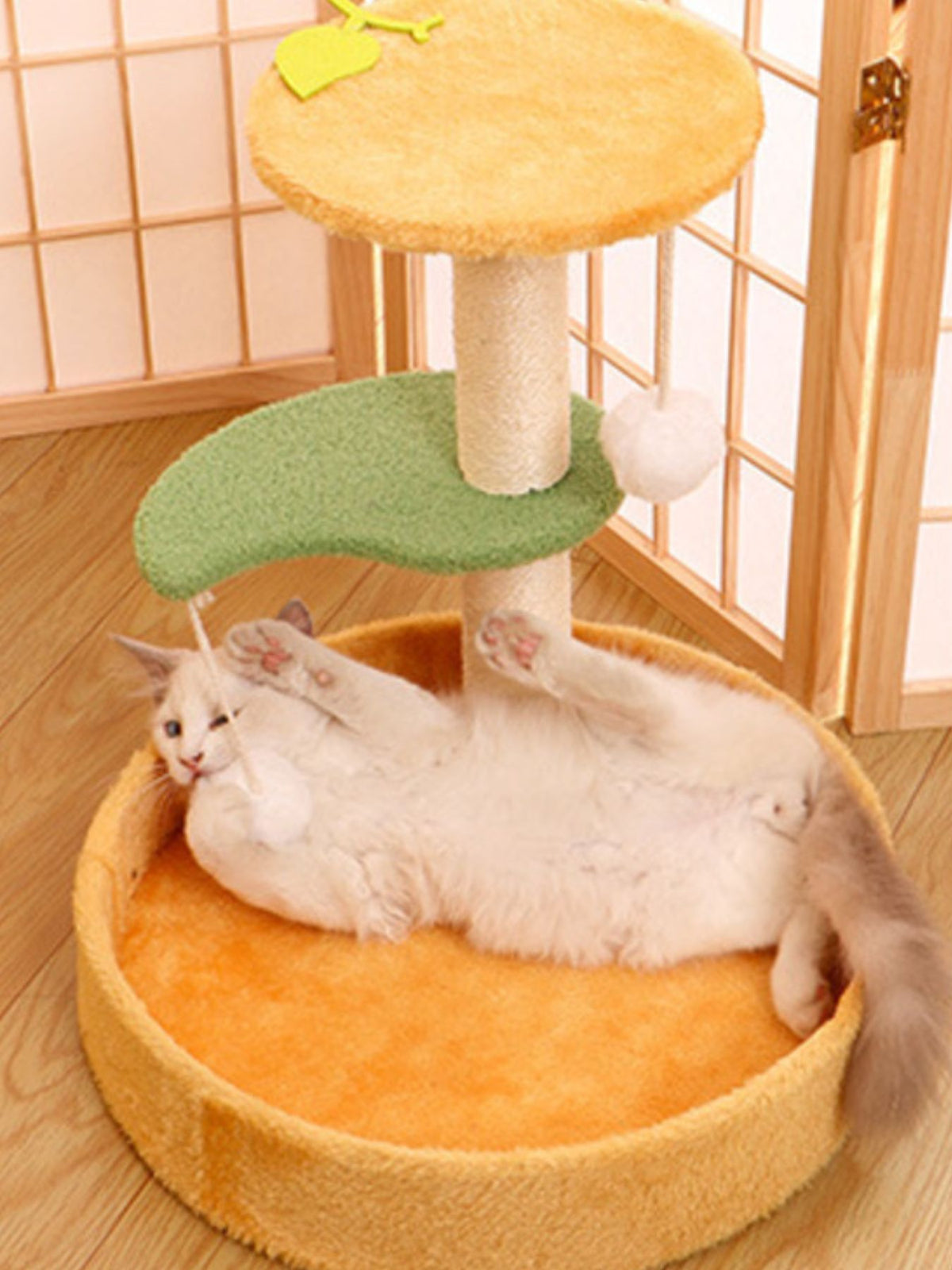4bbff563-da92-4372-818d-7d9a9d13ce81-Max Cat Scratching