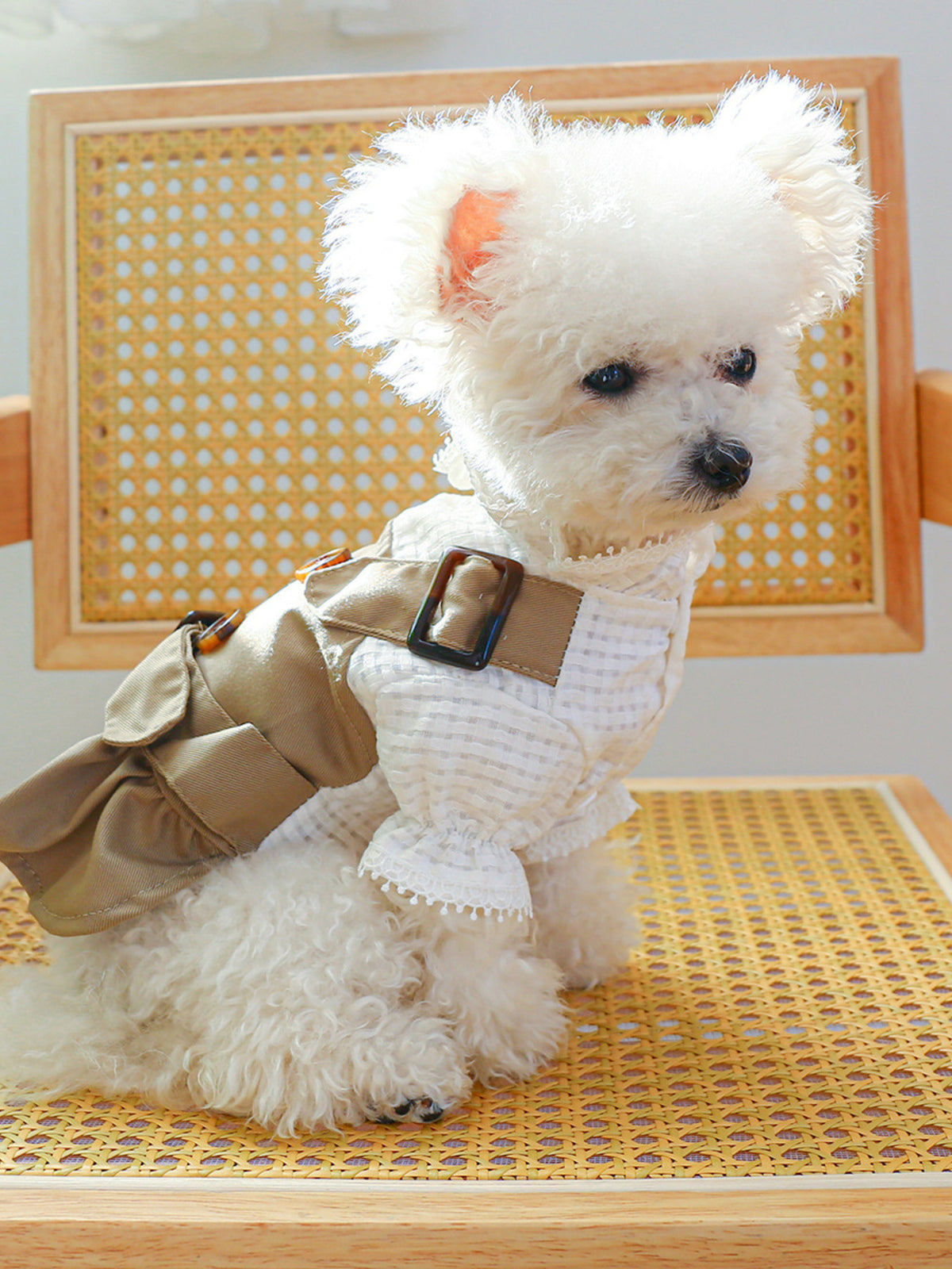 4e818146916943d5a801f195794276d4-Max Buckle Pet Trench Coat