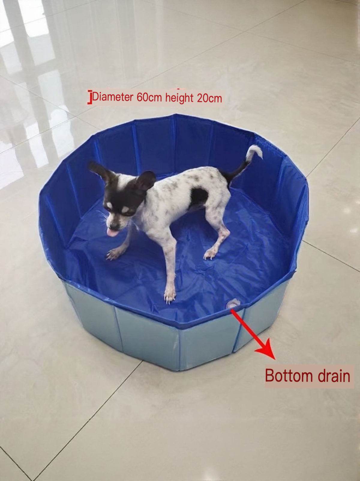 4fe5b6fa87e84e7bb68e40886499a98e-Max Foldable Pet