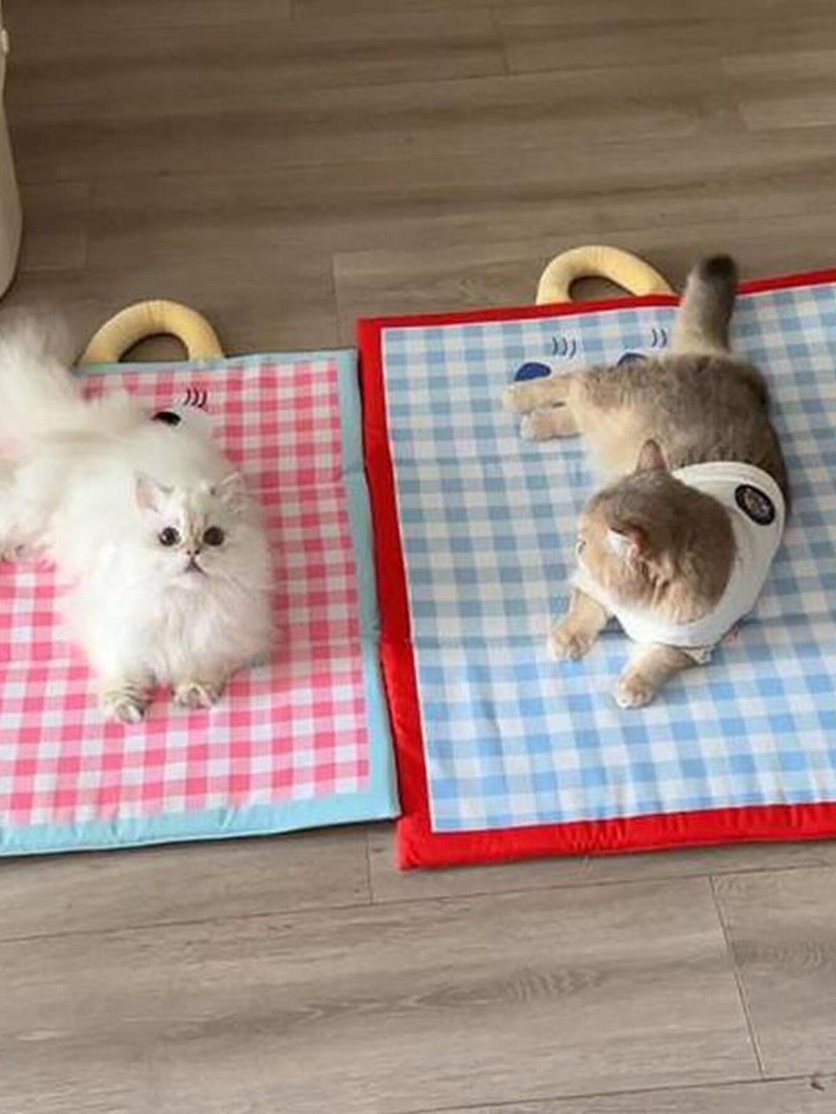 5f70cf0203574246ad52209741950661-Max Plaid Pet Mat