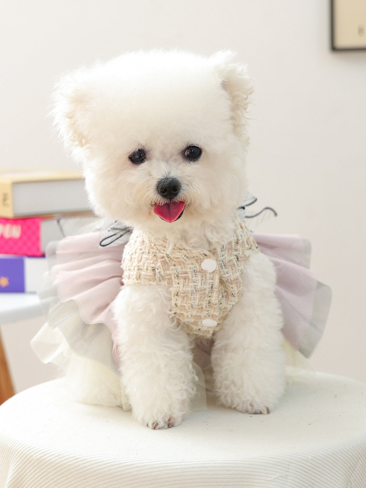 6c560579-336a-4a4f-a074-f164c59b2ec0-Max Pet Dress 