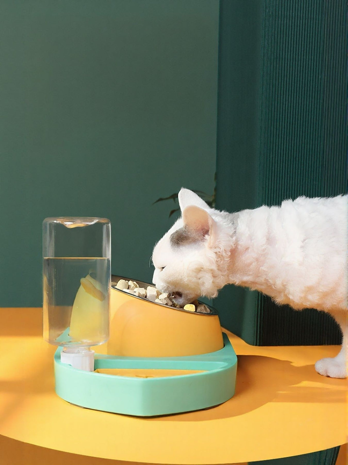 6decd8f689f44e1cbab7a34c541f332f-Max Pet Bowl