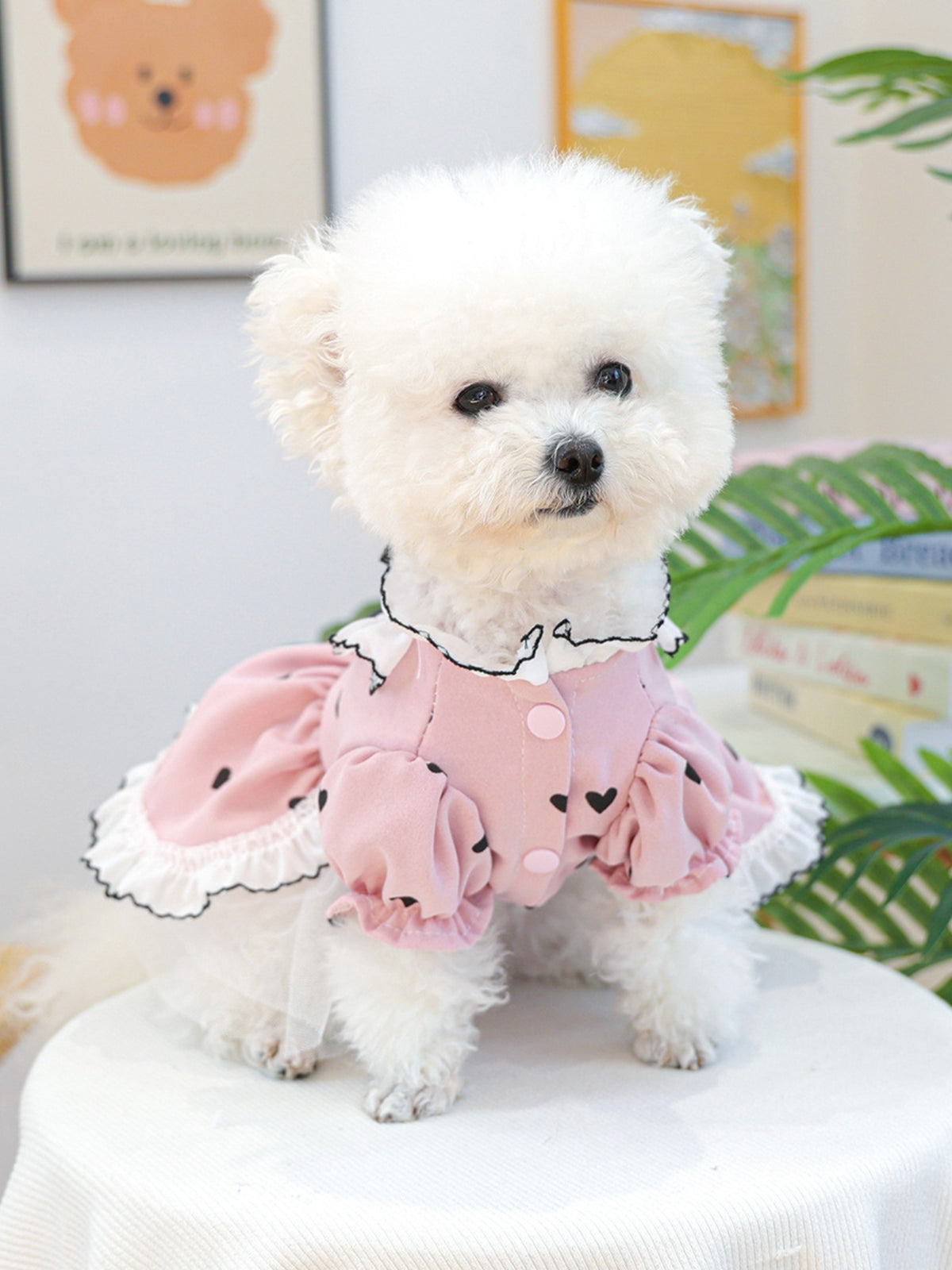 7181c849-c814-4e00-aa23-95be10e5c0ae-Max Pet Dress 
