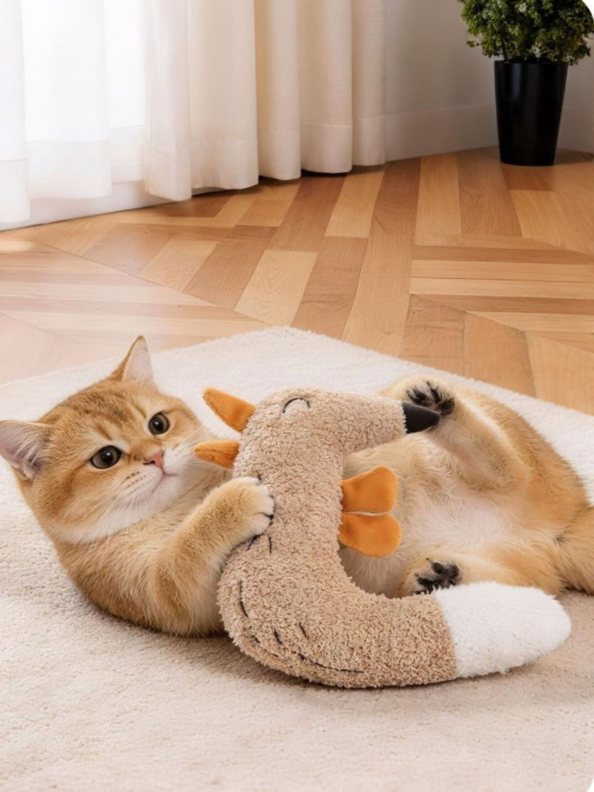 819e1822-d29c-4212-b1c7-76d0f479aa98-Max Pet Plush Toys