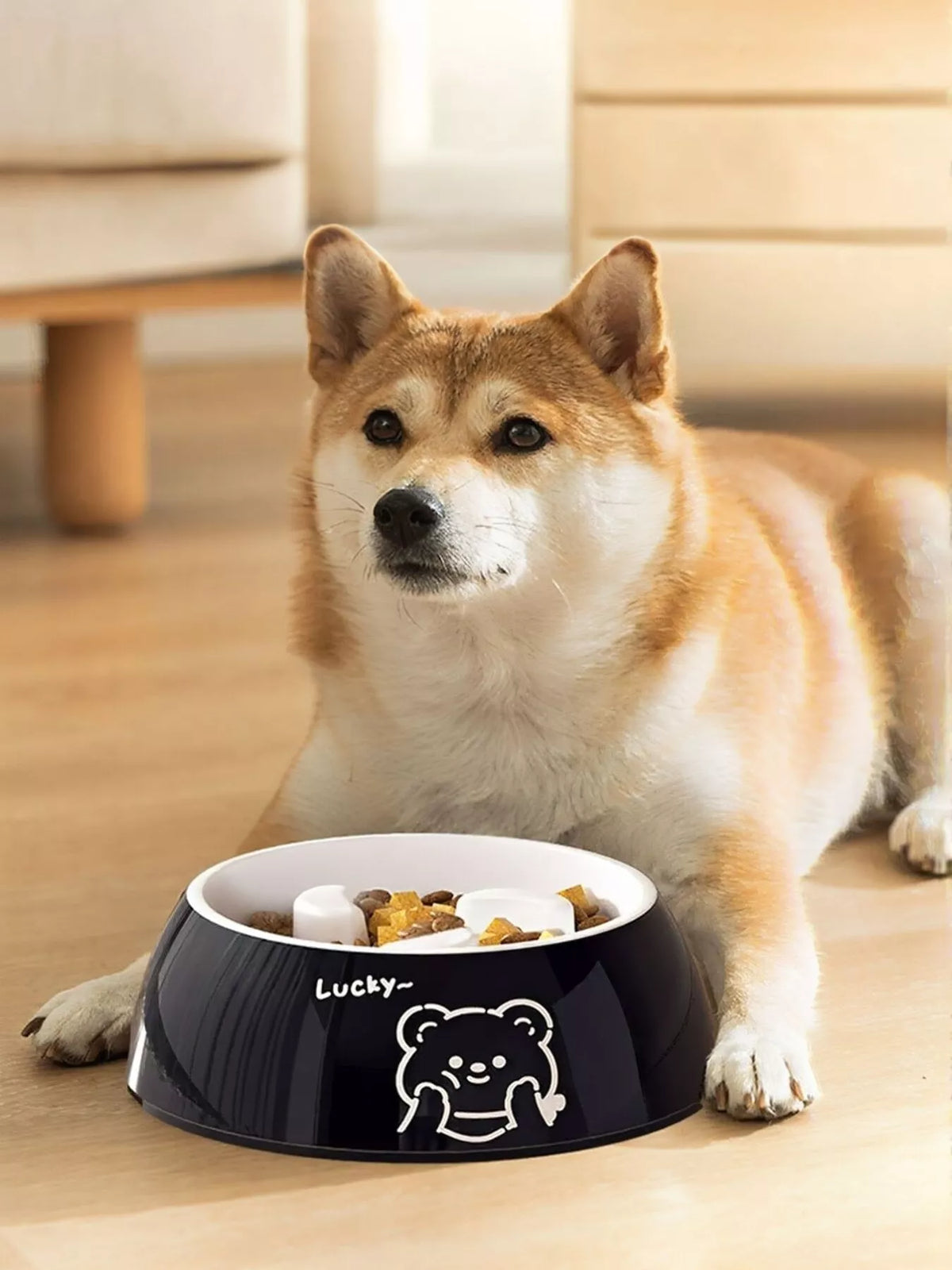 8ebf2f1575f74fc8a2cb152dd60af741-Max-Origin Pet Bowl