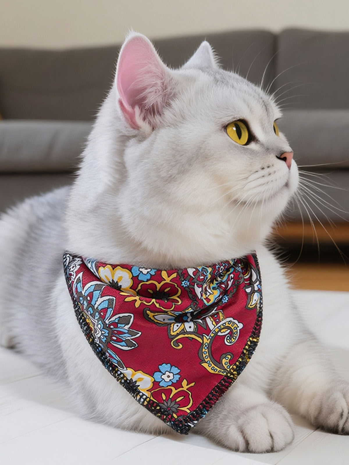 9753ff18552d459ba665d1a3b4b2541e-Max  Pet Scarf & Hat 