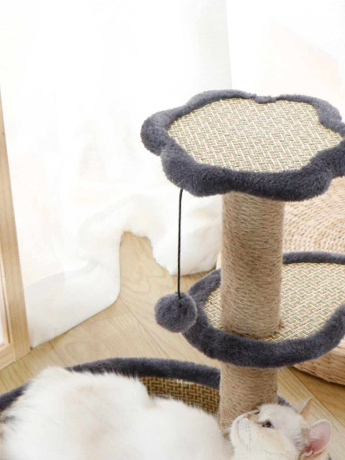 9fd31e7c-9403-47ea-bda2-6780609f179e-Max Cat Scratching