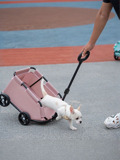 b848b5dd-2e4e-41d9-922d-fb1d0bf21929-Max Portable Folding Pet