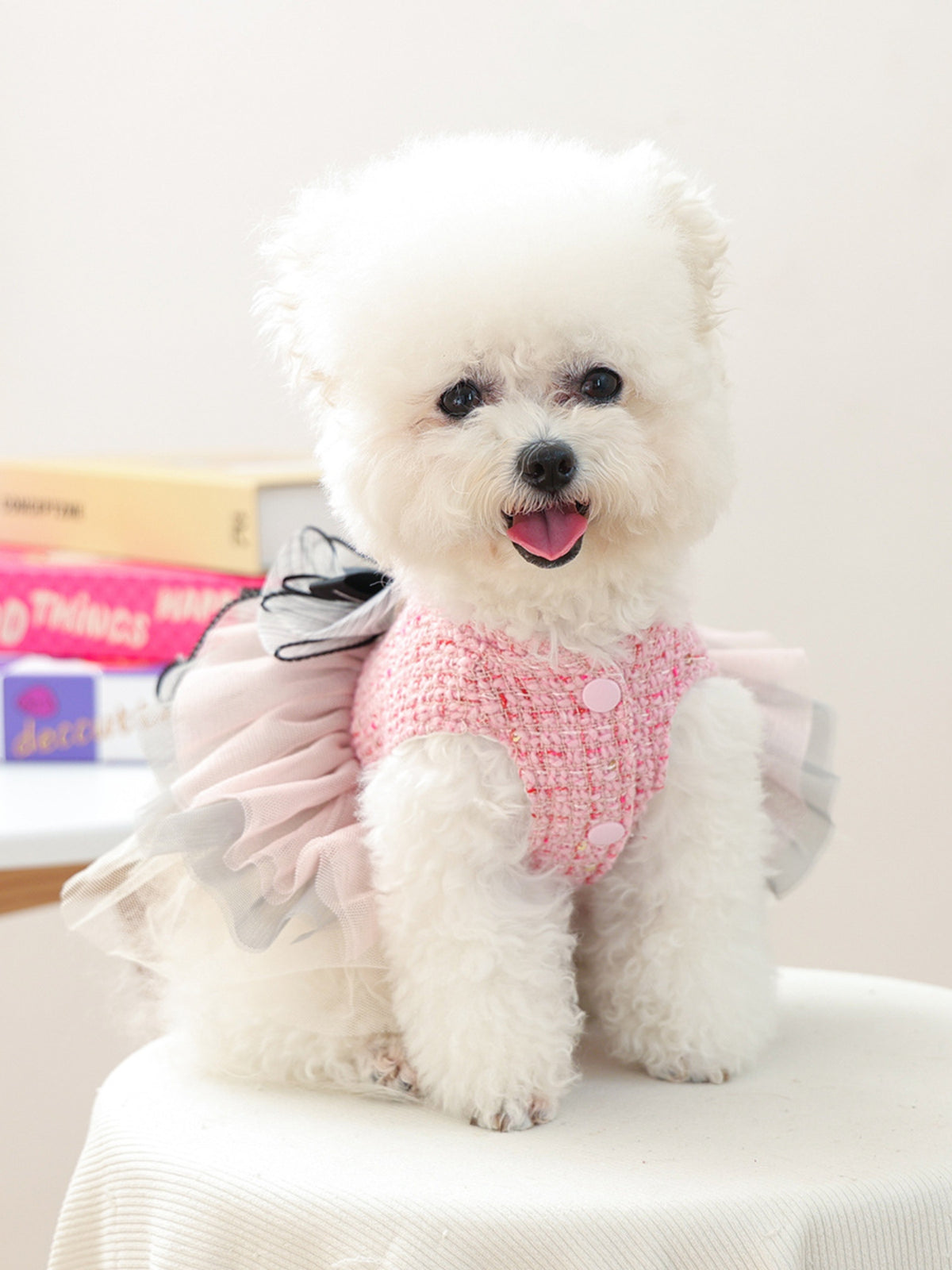 baa53222-afc5-43b5-8b6f-734d685e7f99-Max Pet Dress 