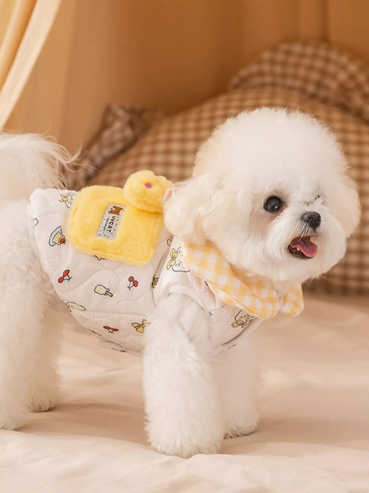 bcf9d5b1-d283-413d-b4df-1578fbf86ca9-Max-Origin Pet Jacket with Gingham Collar