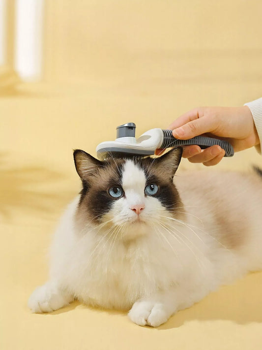 bf1fb252-b72b-4080-b73d-817286b81ca0-Max-Origin self-cleaning pet hair remover brush