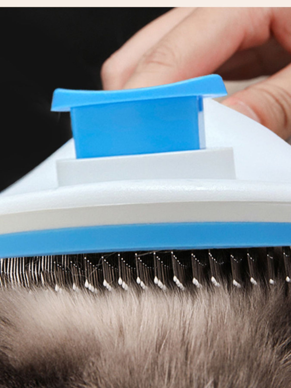 bf31a7a2-3c73-40d1-88de-7fb35235e24f-Max plastic pet hair remover comb