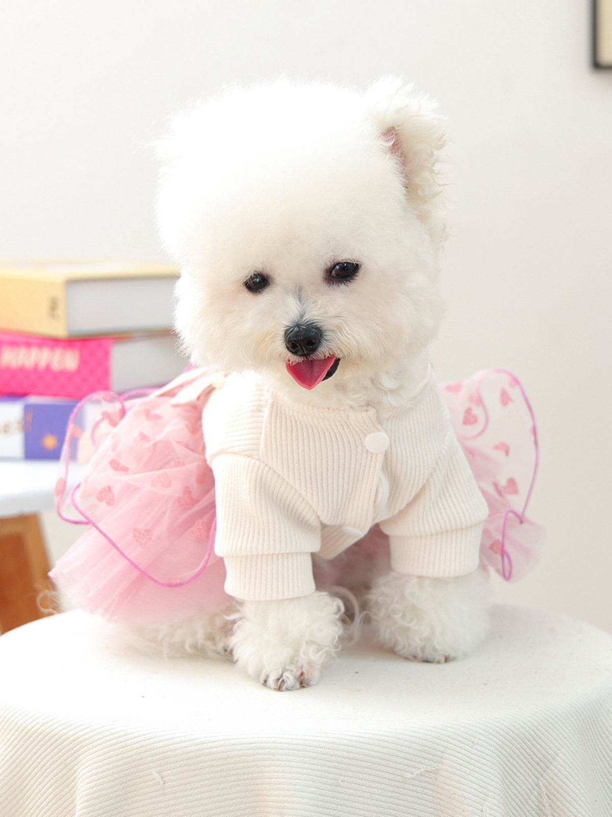 c2bae66e3fa143bc9d86998ed8e3ee1e-Max Pet Dress