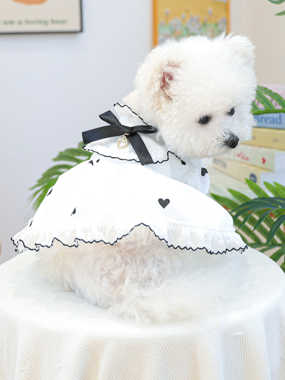c5feaed7-5178-4bfd-914a-ad18de6c28cd-Max Pet Dress 