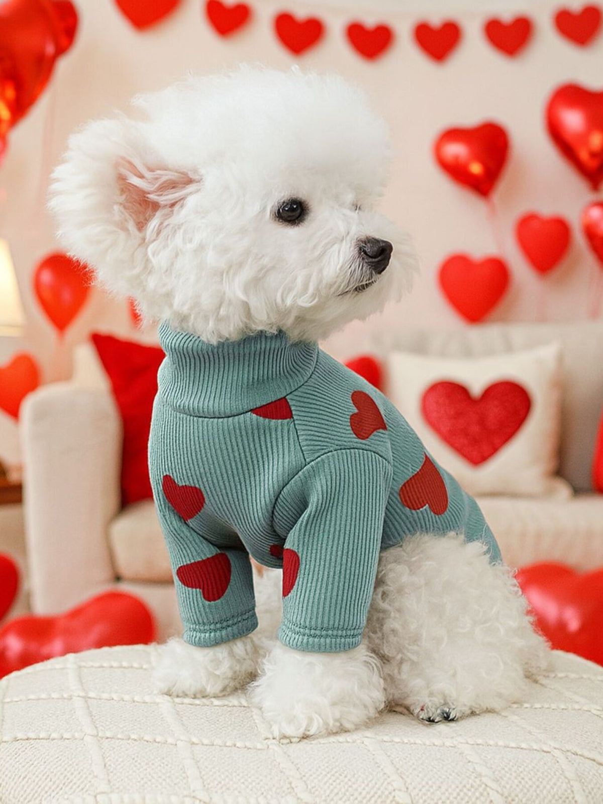 cb99094f385f4ae08e9515f8b3987e13-Max Pet Sweater