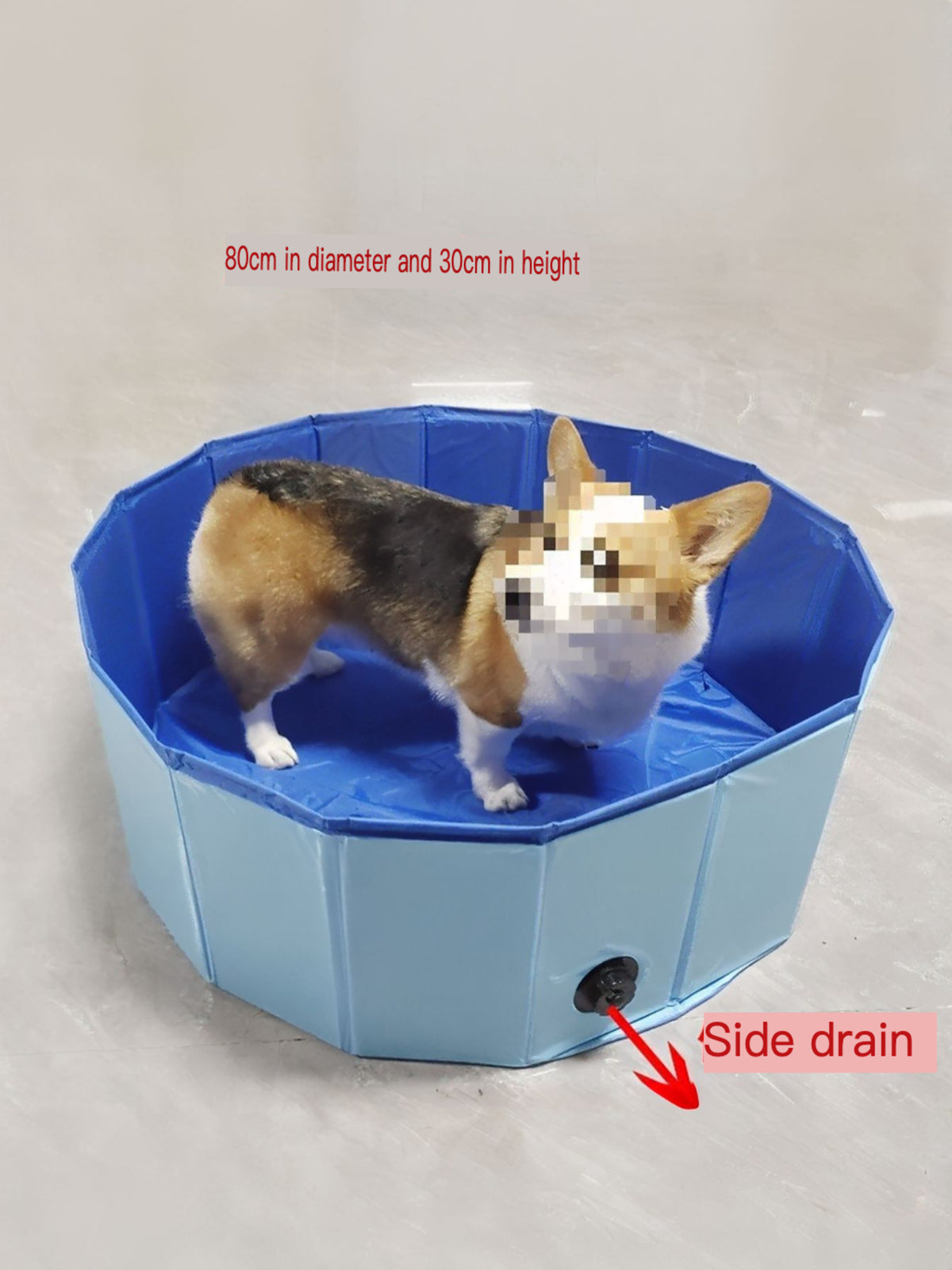 d12f146350c14fdd956555cdb526bf3b-Max Foldable Pet