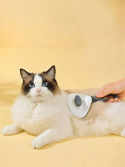 dbc5f732-ec05-4cc2-a13a-356a4632aa86-Max-Origin self-cleaning pet hair remover brush