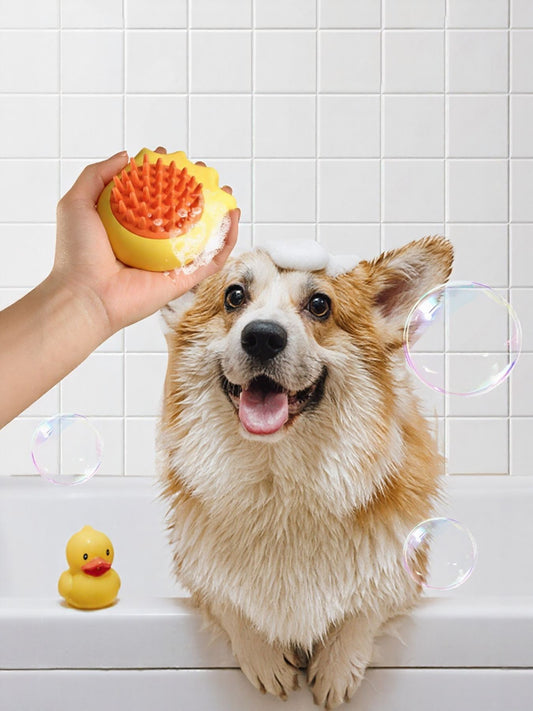 dc1cba92-42b2-49d5-9b4f-02271e5d5a9b-Max Soft Pet