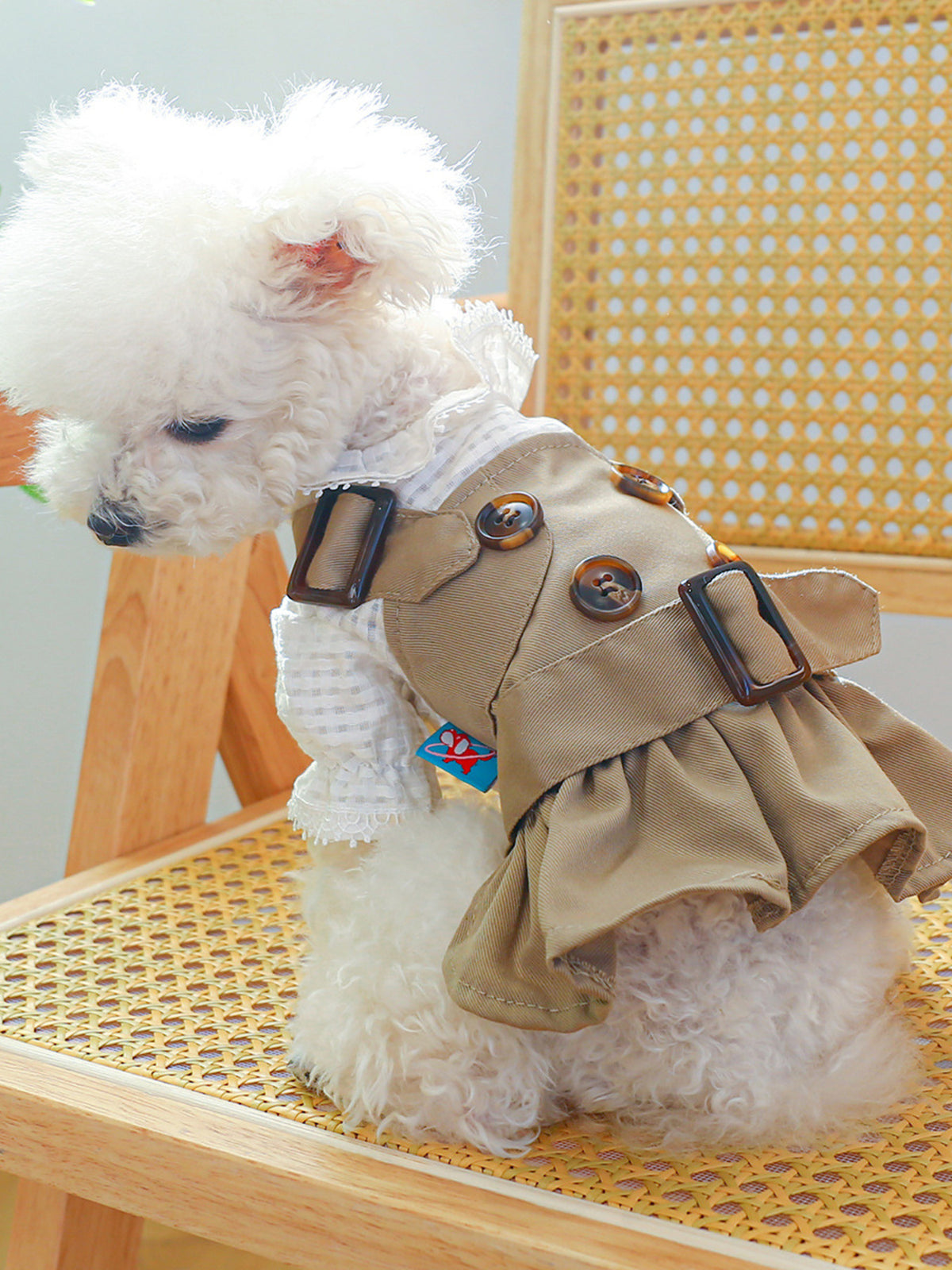 e97e1f59b95144599ce66fac478c26b6-Max Buckle Pet Trench Coat