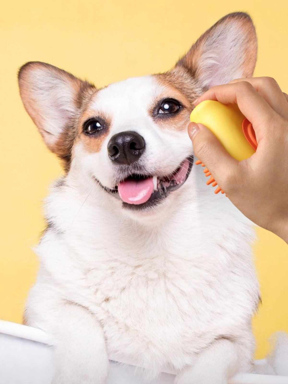 e99ecb71-e753-4144-8906-3d01007ce9d8-Max Soft Pet