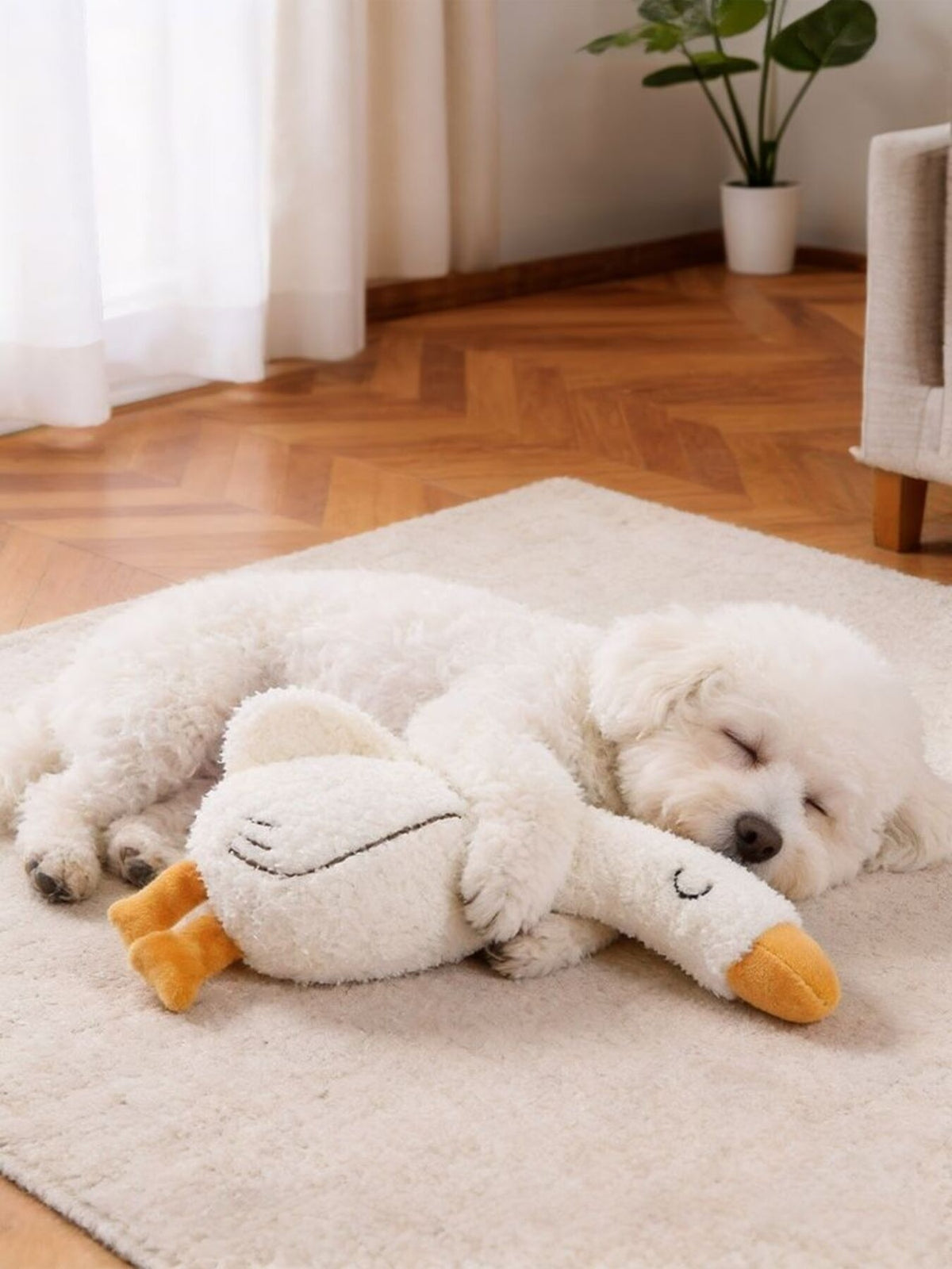 fb9f621e049e4ef5b493fabe4722345e-Max Pet Plush Toys