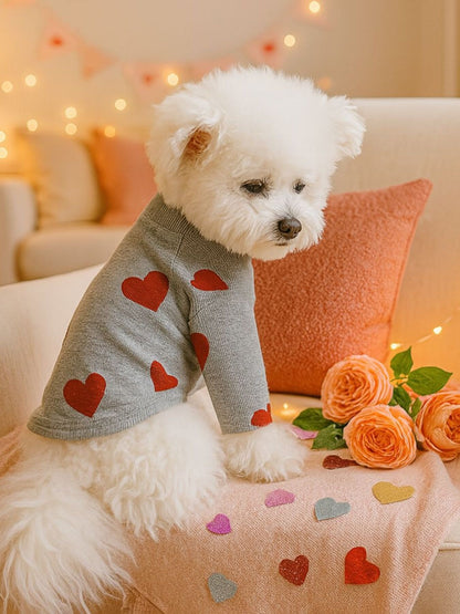 fc99238f35354cf6a5b72924994e9fb8-Max Pet Sweater