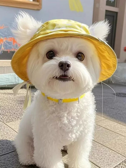 ff581e374ebb48e3ade68f68b7a664c7-Max-Origin Pet Bucket Hat